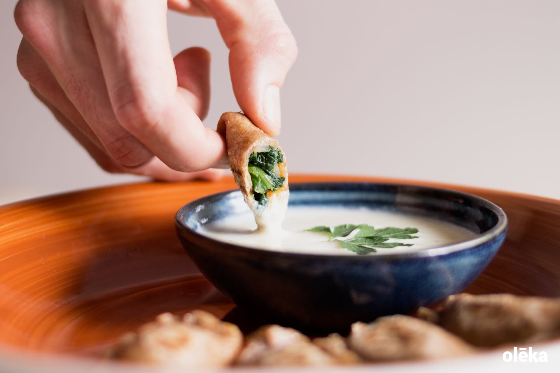 dumplings de verduras