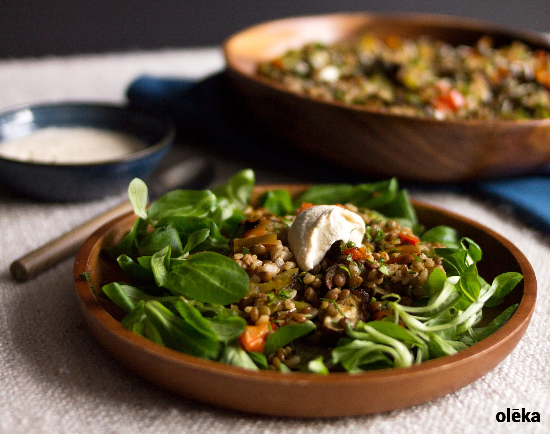 Lentejas Con Verduras Pasadas